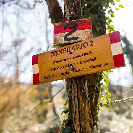 Feriegård Borgo Il Poggio Montaione