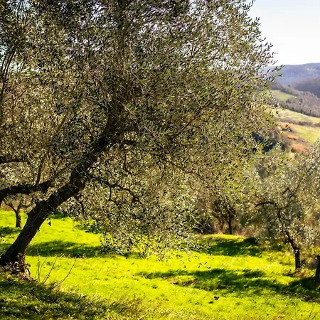Borgo Il Poggio Montaione